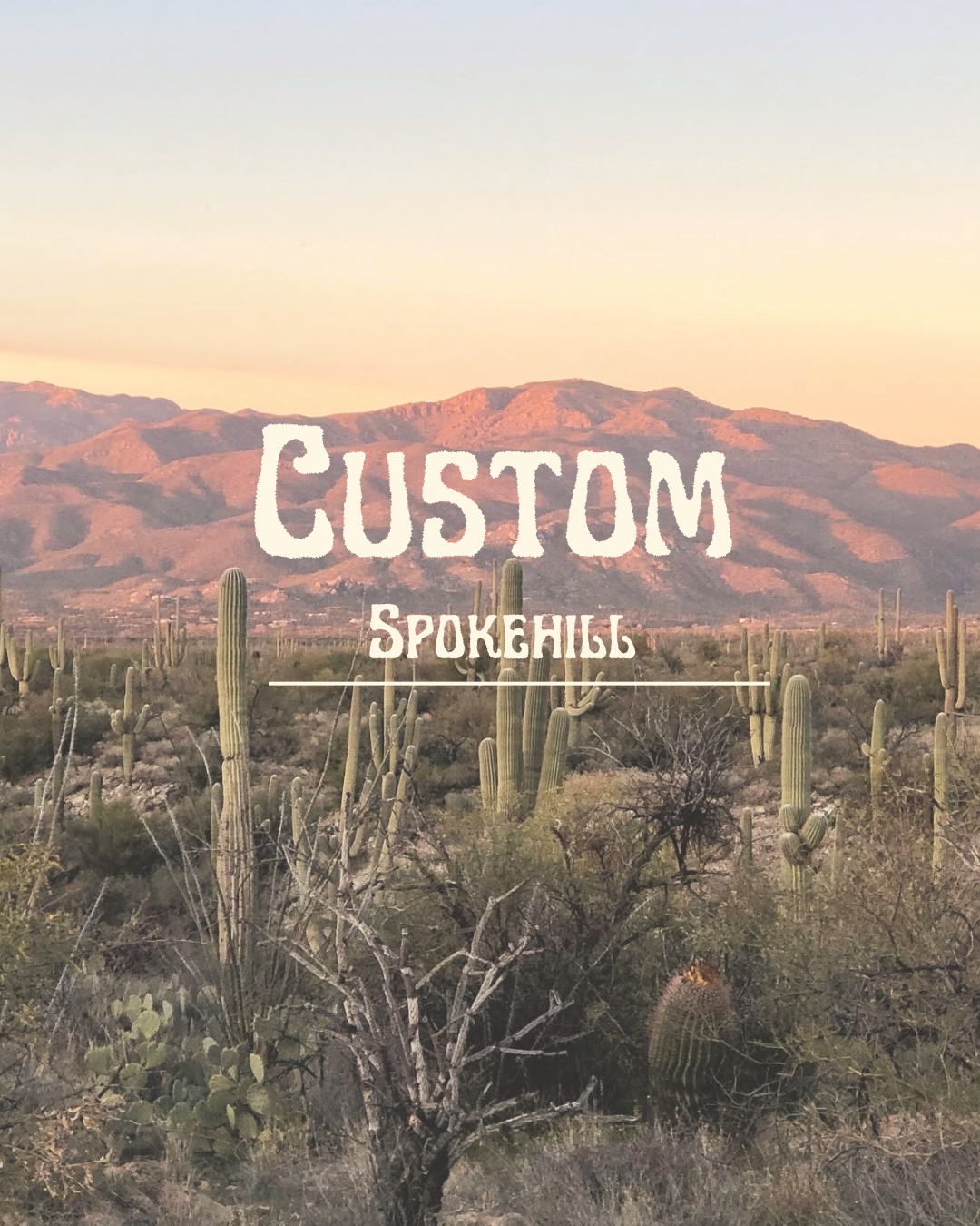 Custom | Spokehill