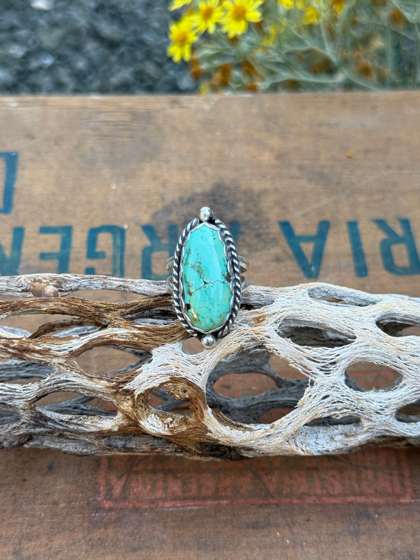 Nevada Turquoise Ring | Size 7.5