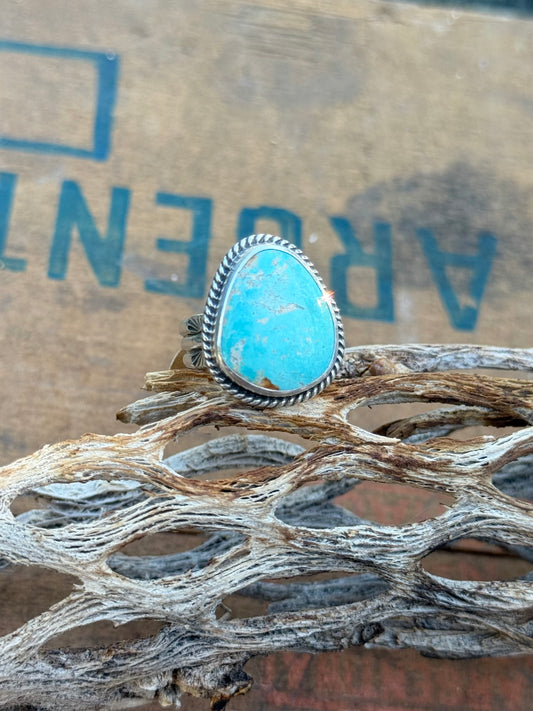 Nevada Turquoise Ring | Size 8.75