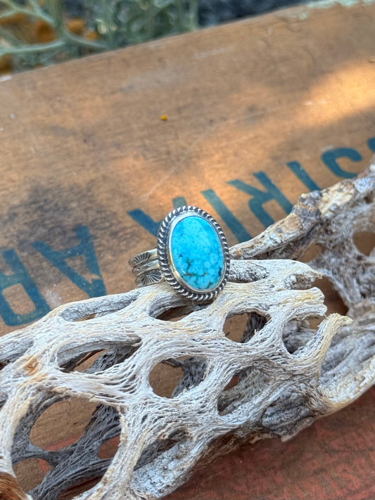 Turquoise Everyday Ring | Size 7.75