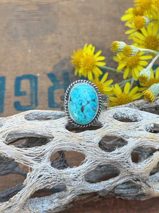 Every day Turquoise Ring | Size 8.25