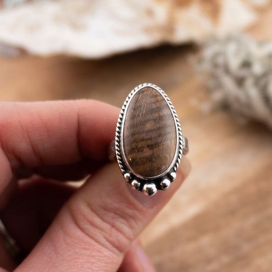 Oregon Petrified Wood | 7.25