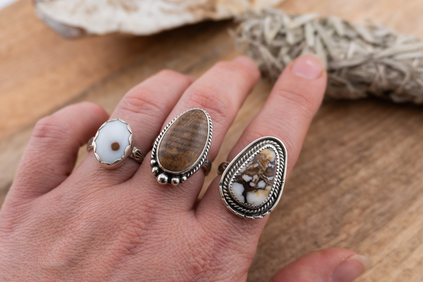 Oregon Petrified Wood | 7.25